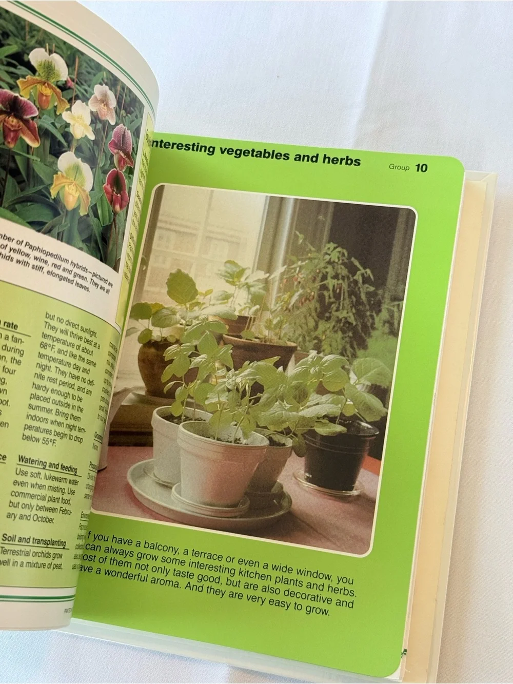 Success with House Plants 1985